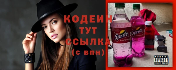 МДПВ Каменка
