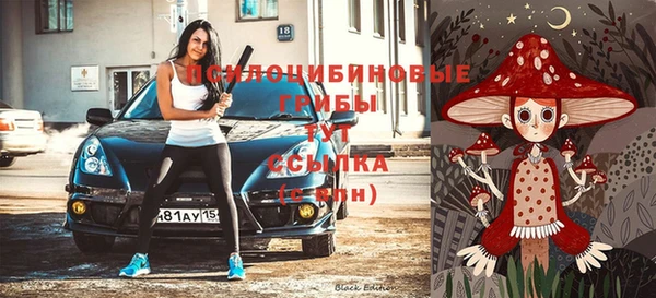 ГАЛЛЮЦИНОГЕННЫЕ ГРИБЫ Каменногорск