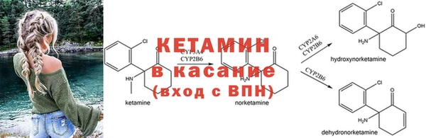 молекула духа Ладушкин