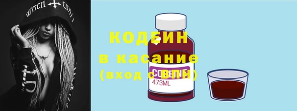 ГАЛЛЮЦИНОГЕННЫЕ ГРИБЫ Каменногорск