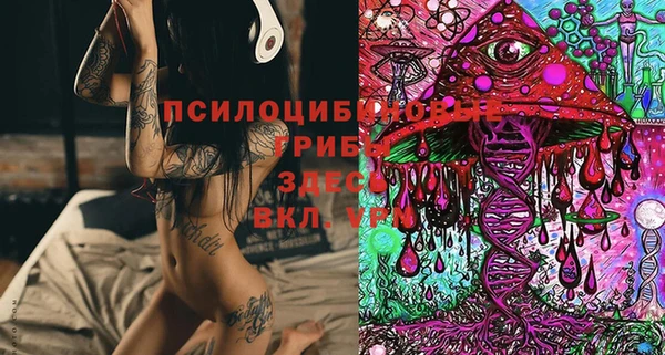 ГАЛЛЮЦИНОГЕННЫЕ ГРИБЫ Каменногорск