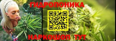 трава Вышний Волочёк