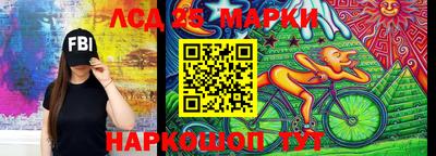 индика Вязьма