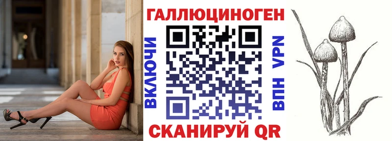 купить закладку Невинномысск Псилоцибиновые грибы мицелий