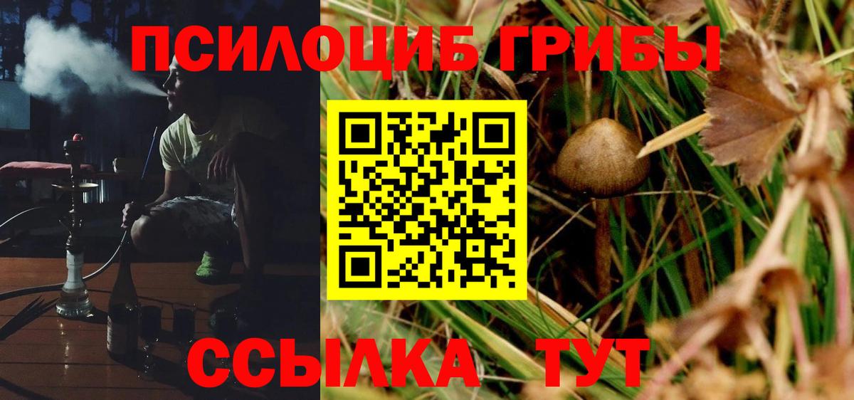 Псилоцибиновые грибы GOLDEN TEACHER  Вход с VPN  купить наркотик  Невинномысск 