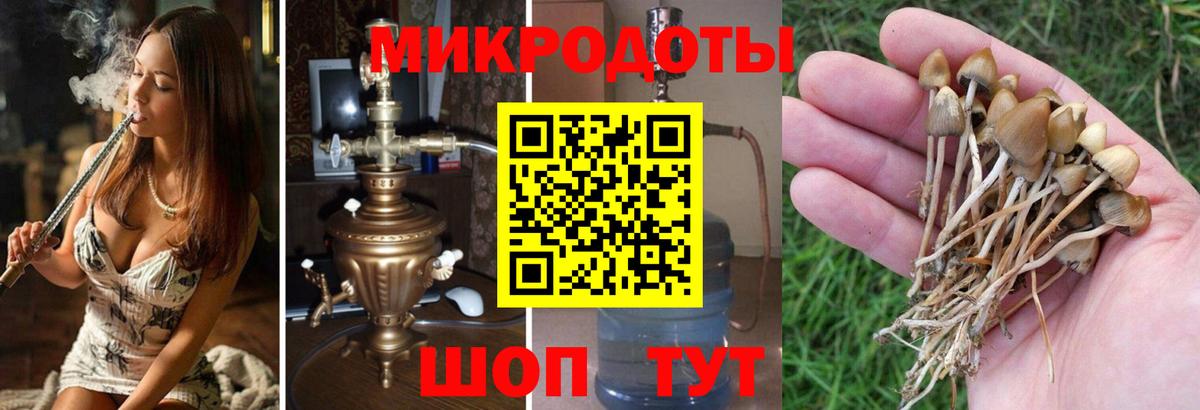 Псилоцибиновые грибы MAGIC MUSHROOMS Невинномысск