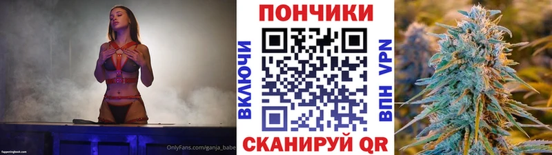 Каннабис план Невинномысск